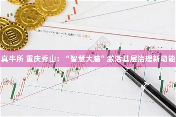 真牛所 重庆秀山：“智慧大脑”激活基层治理新动能