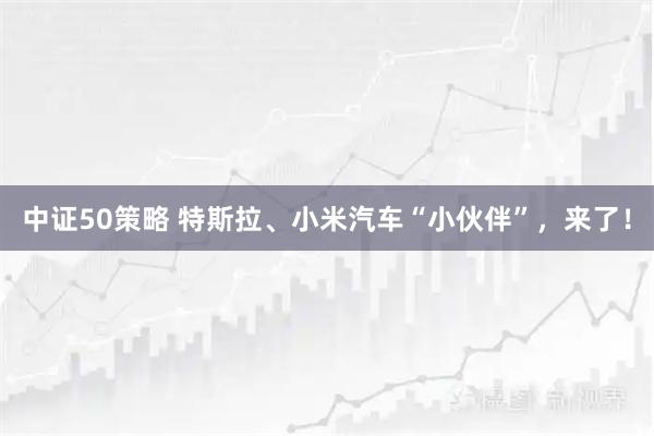 中证50策略 特斯拉、小米汽车“小伙伴”，来了！
