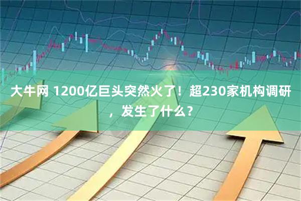 大牛网 1200亿巨头突然火了！超230家机构调研，发生了什么？
