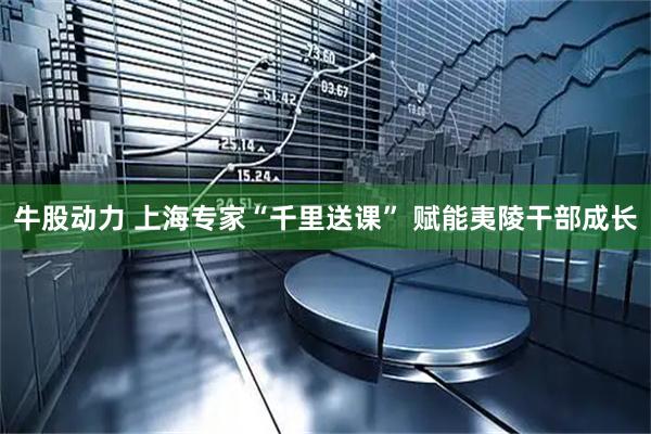 牛股动力 上海专家“千里送课” 赋能夷陵干部成长