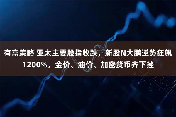 有富策略 亚太主要股指收跌，新股N大鹏逆势狂飙1200%，金价、油价、加密货币齐下挫