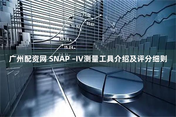 广州配资网 SNAP –IV测量工具介绍及评分细则