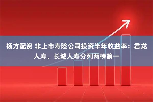 杨方配资 非上市寿险公司投资半年收益率：君龙人寿、长城人寿分列两榜第一